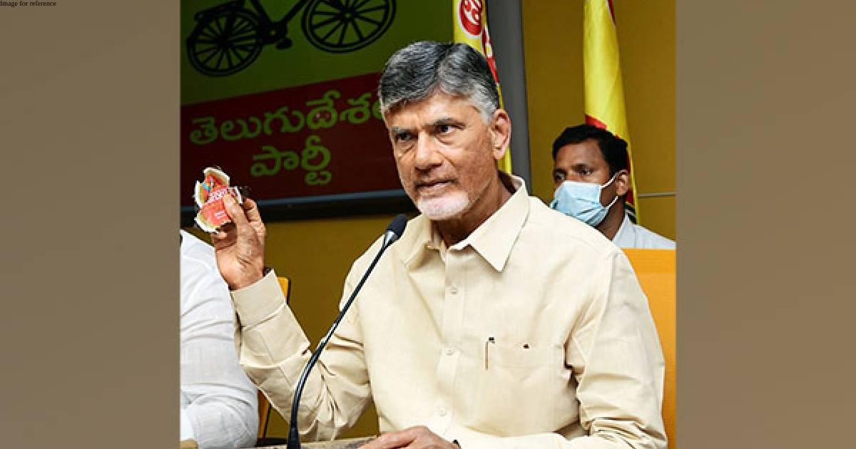 Andhra govt appoints panel to probe stampede at Chandrababu Naidu's meetings
